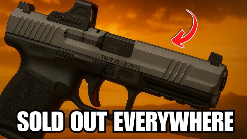 The 9 Pistols EVERY American is Stockpiling for 2025!