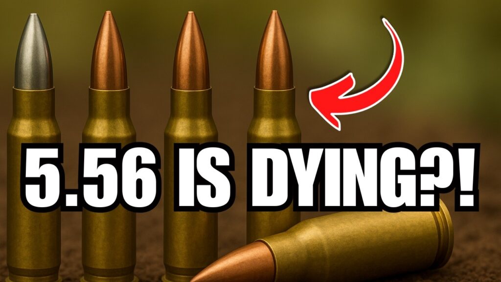 The 5.56 Isn’t Gone, But These 6 Rounds Are Catching Up FAST!