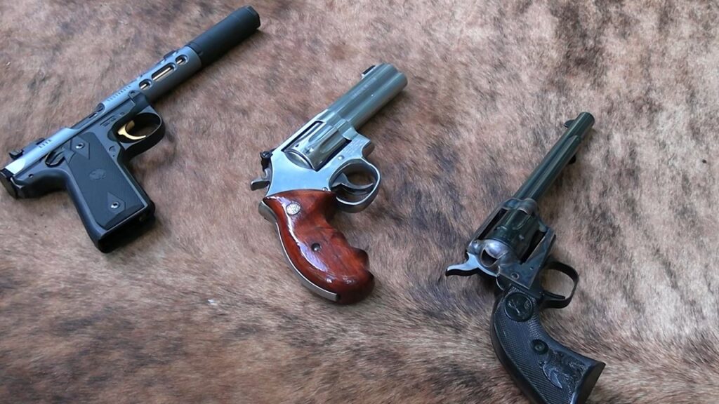 What is the Right .22  Handgun for You?