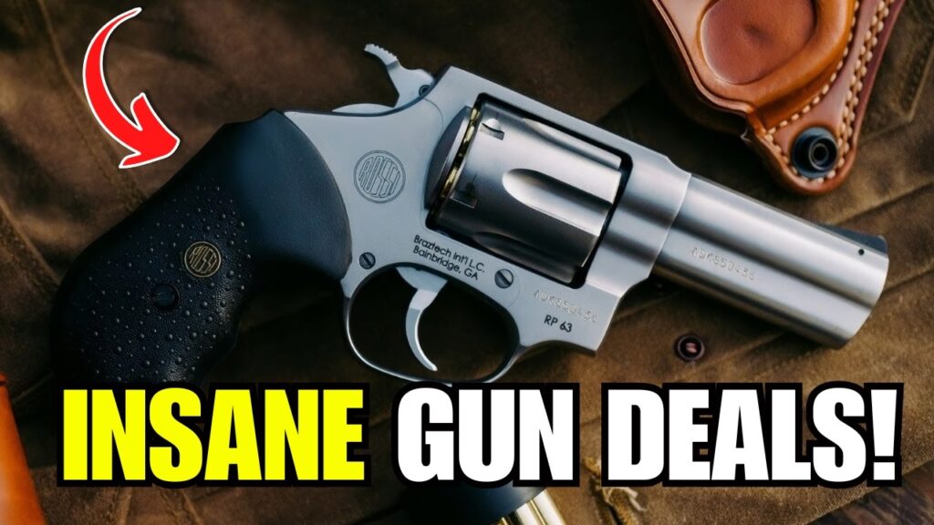 5 CHEAP GUNS EVERYONE IGNORES (But These 3 Guns Are Absolute Goldmines)