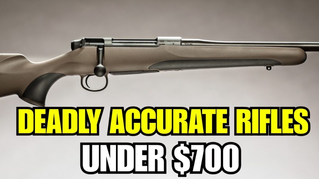 5 Budget-Hunting Rifles Under 700 That Are Deadly Accurate!