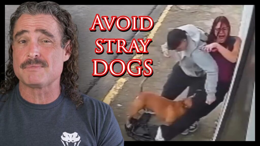 It Is Really Hard To Stop A Dog On The Bite | Active Self Protection